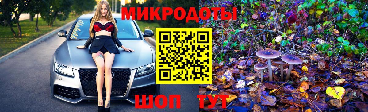 Галлюциногенные грибы MAGIC MUSHROOMS  купить наркоту  Вход с VPN  Шадринск  Галлюциногенные грибы мухоморы 